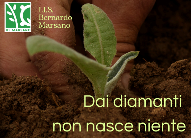 “Dai diamanti non nasce niente” – Evento del 22 gennaio 2026